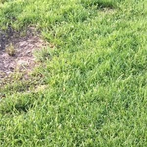 Meet your Posher, Muhammad omer